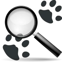 find code in blogger